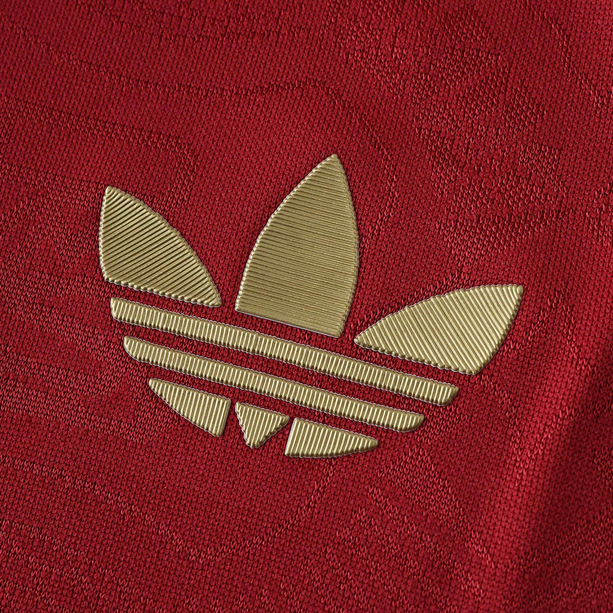 125 Years 25/26 Men’s Shirt Pulses Football