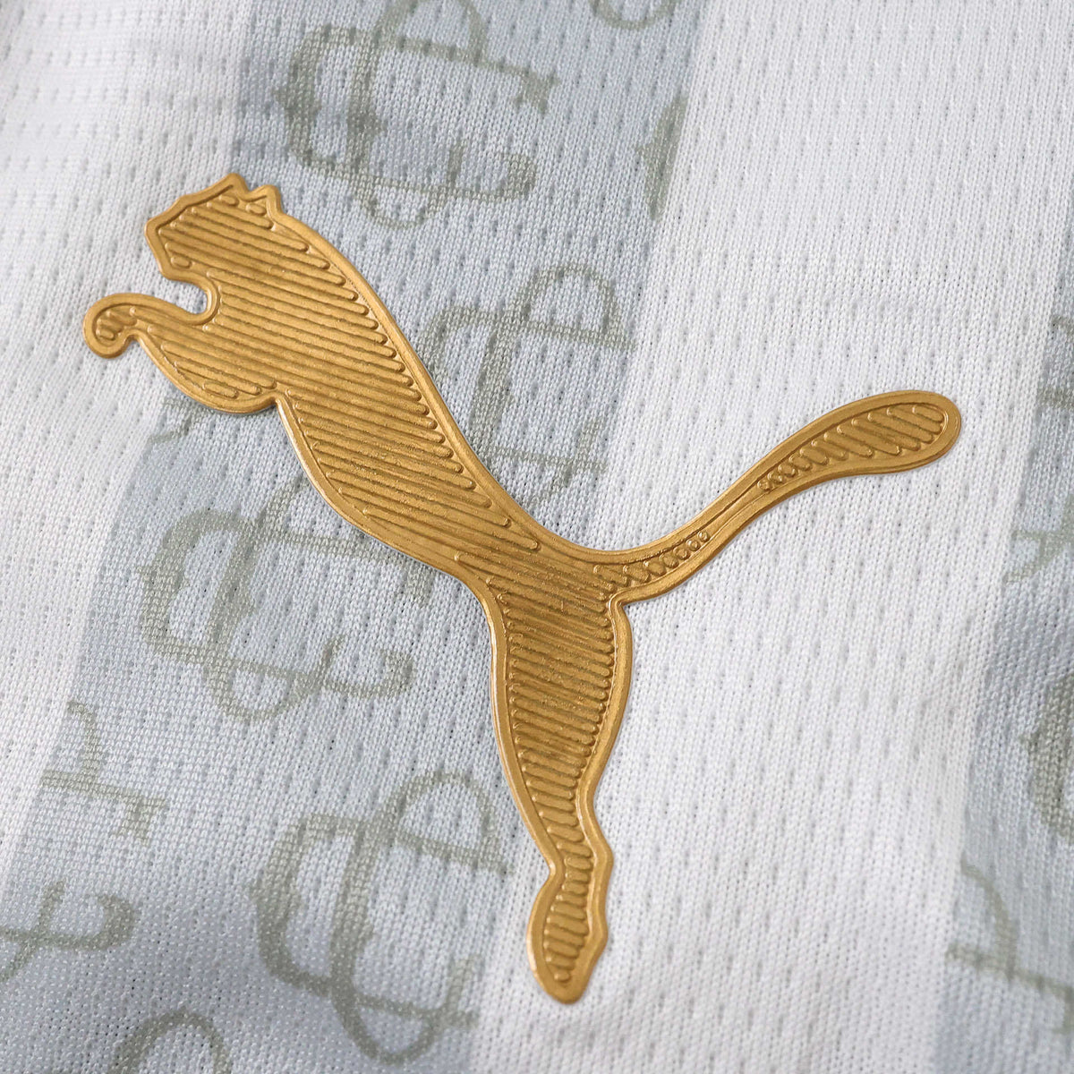 Camisola Edição Especial Homem Pulses Football