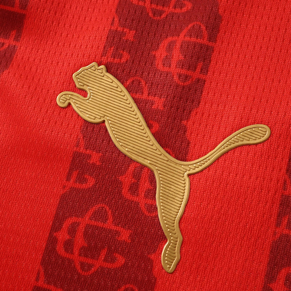 Camisola Edição Especial Homem Pulses Football