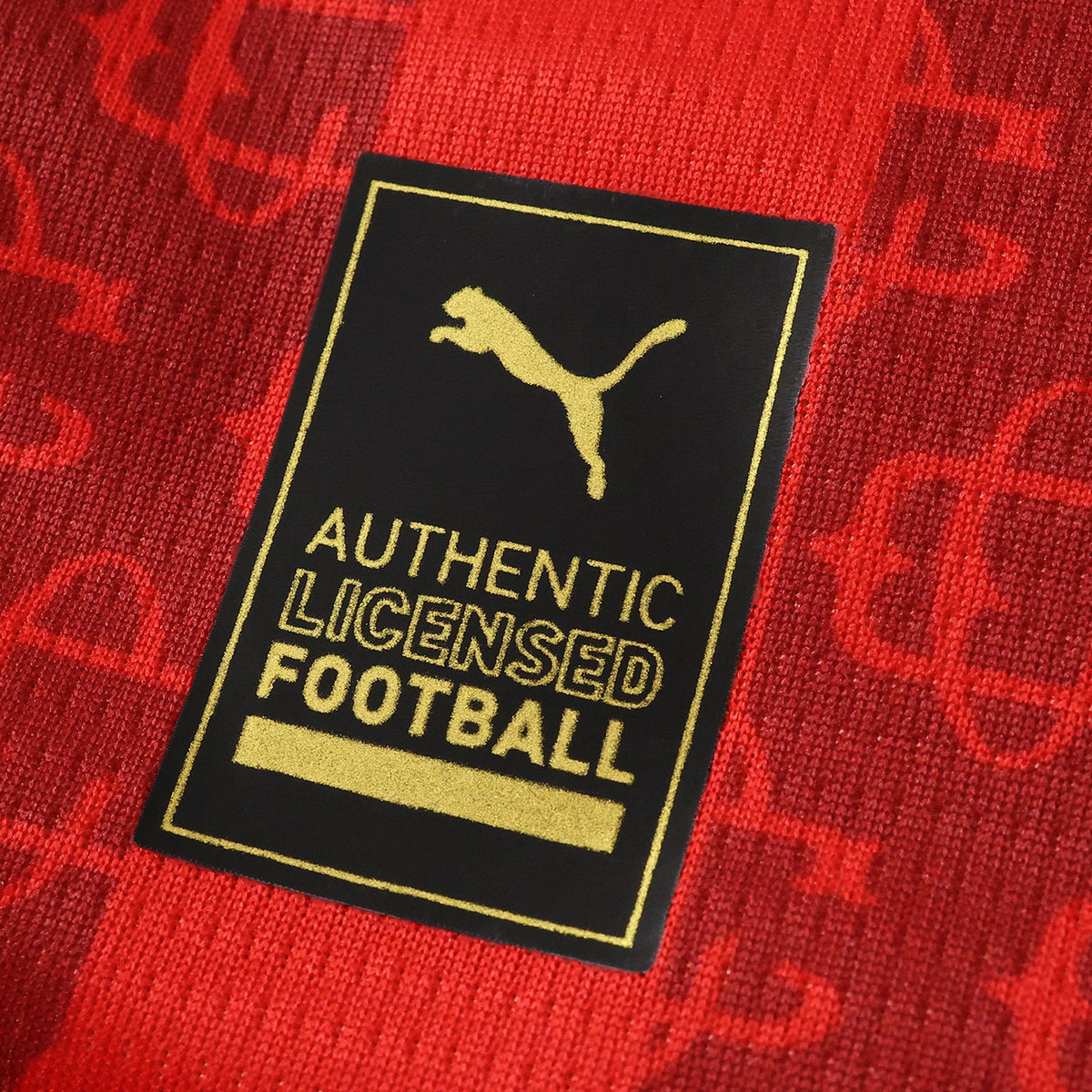Camisola Edição Especial Homem Pulses Football