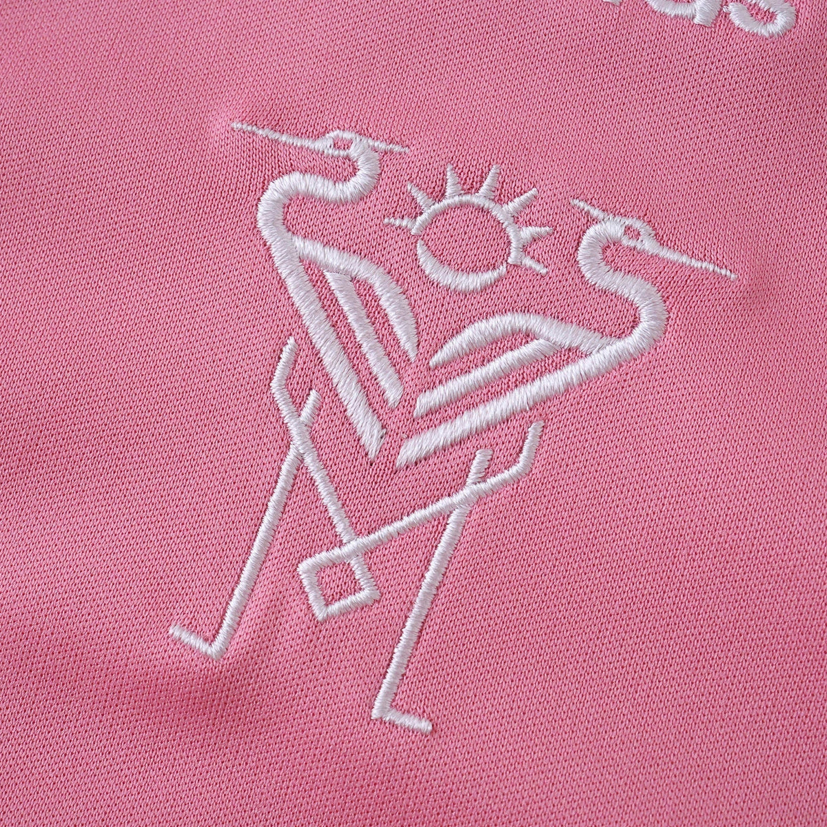 Casual 25/26 Fan Shirt Pulses Football