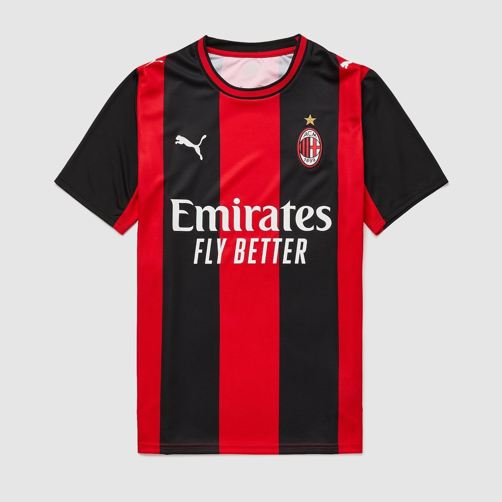 Home 26/27 Fan Shirt Pulses Football