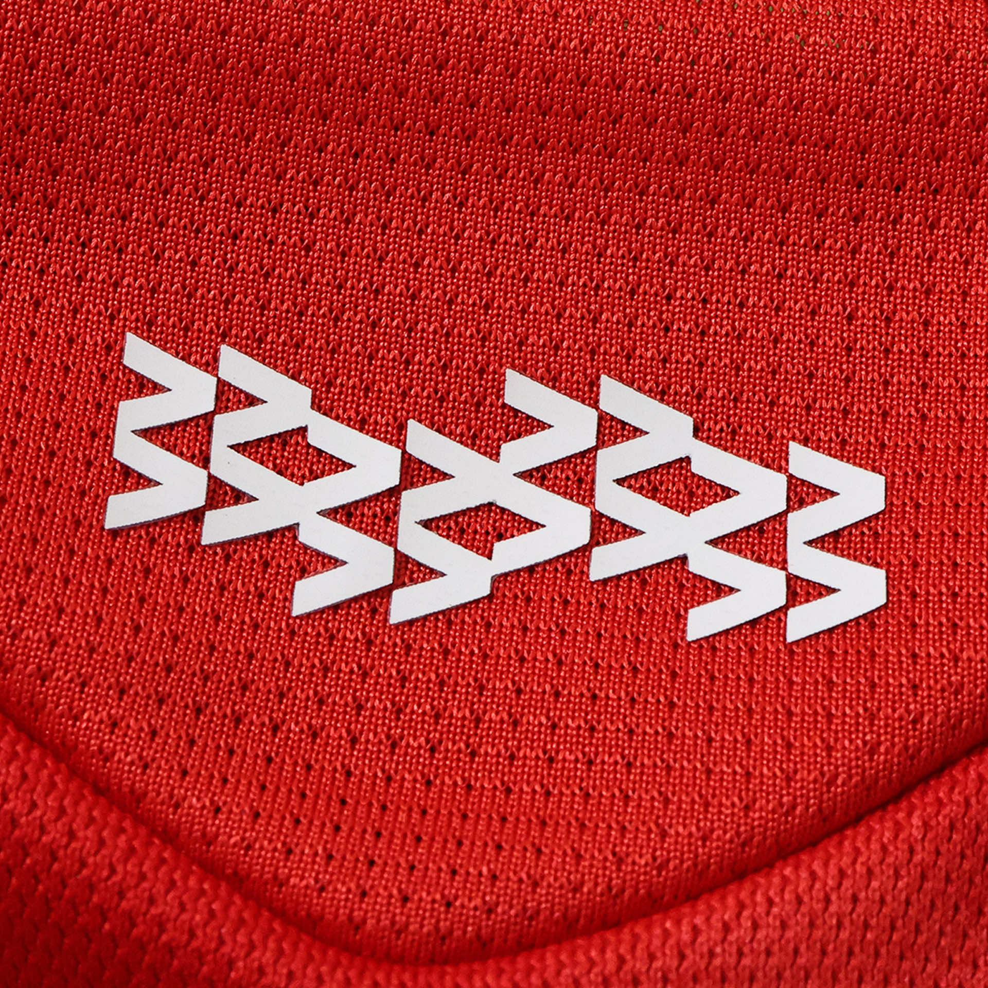 Home 26/27 Fan Shirt Pulses Football