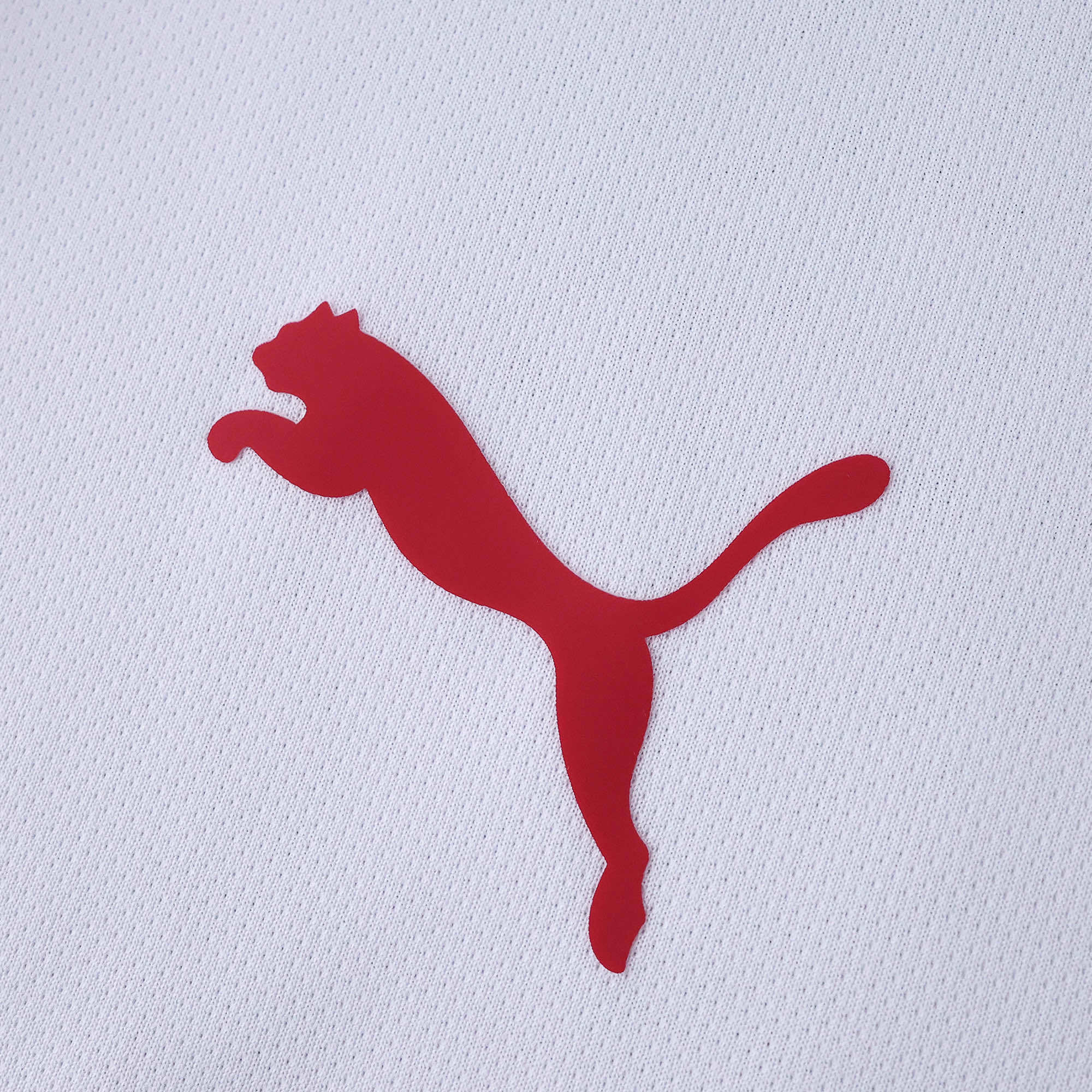 Jersey 25/26 Men's Pulses Football