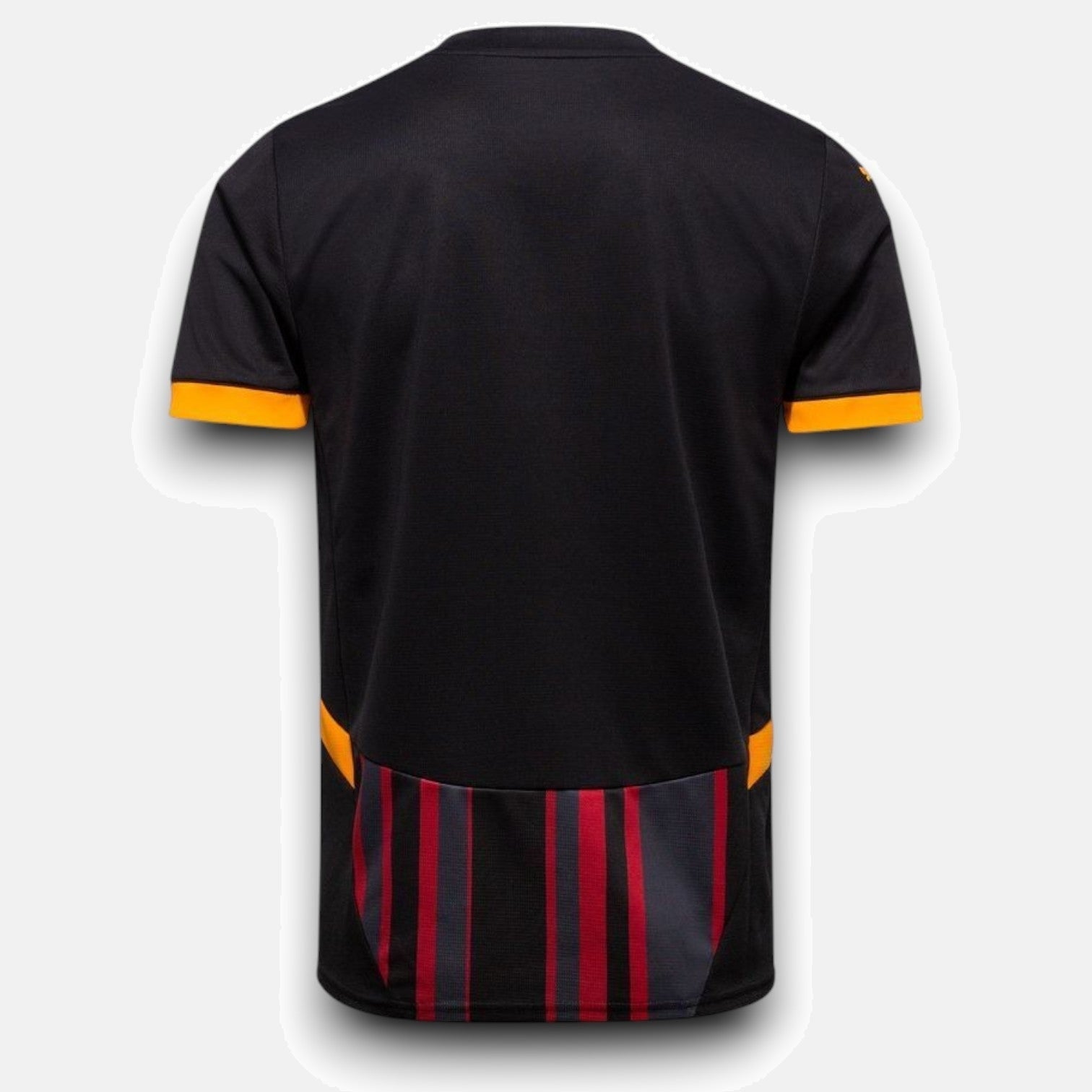 Third 24/25 Men's Jersey Pulses Football