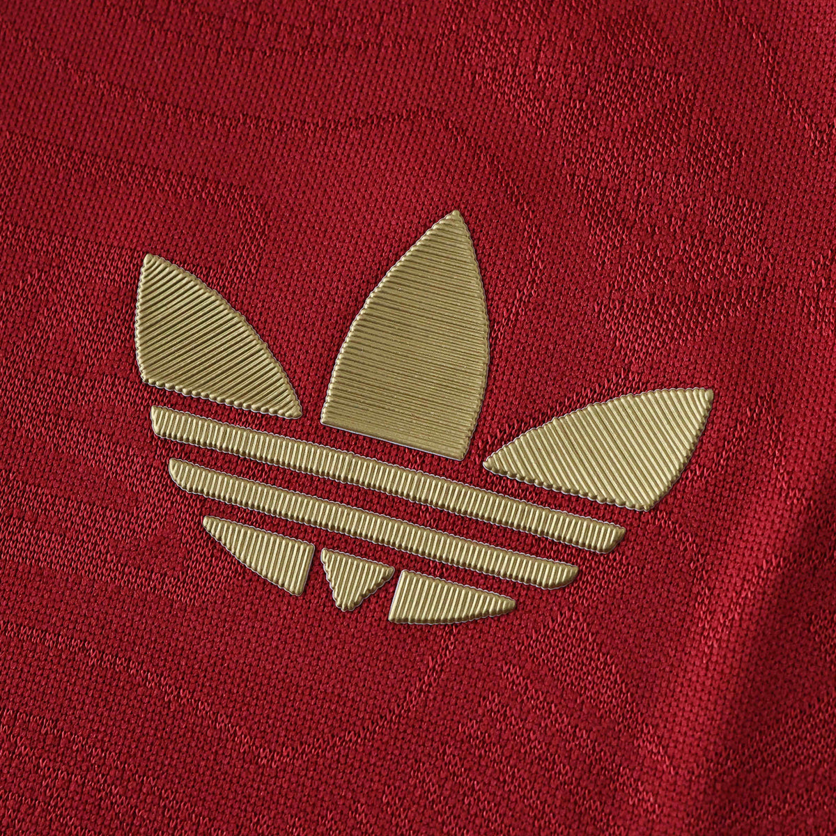 125 Years 25/26 Player Edition Shirt Pulses Football