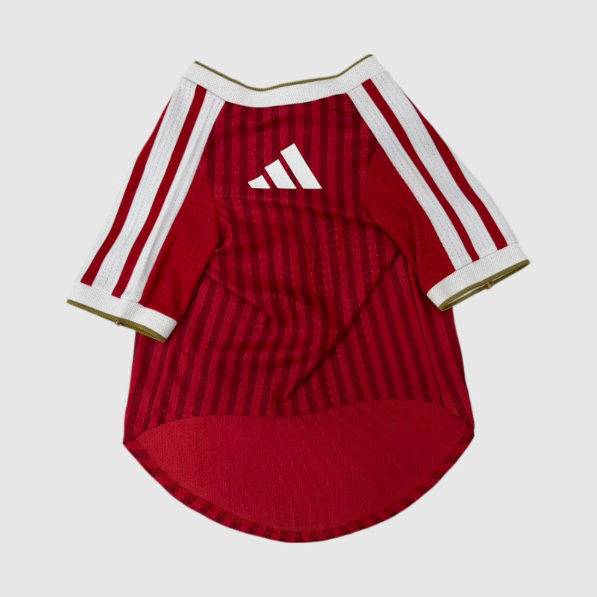 Home Pet Shirt Pulses Football