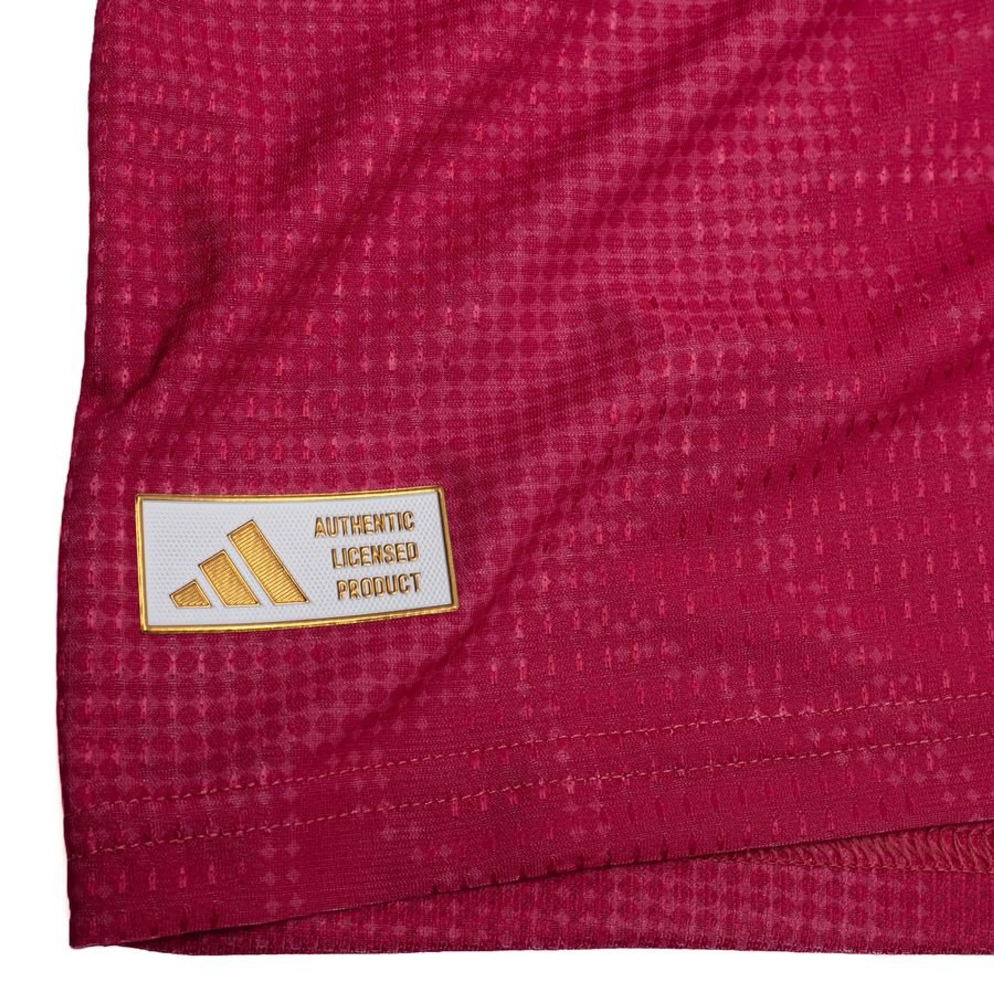 Third 26/27 Player Edition Shirt Pulses Football